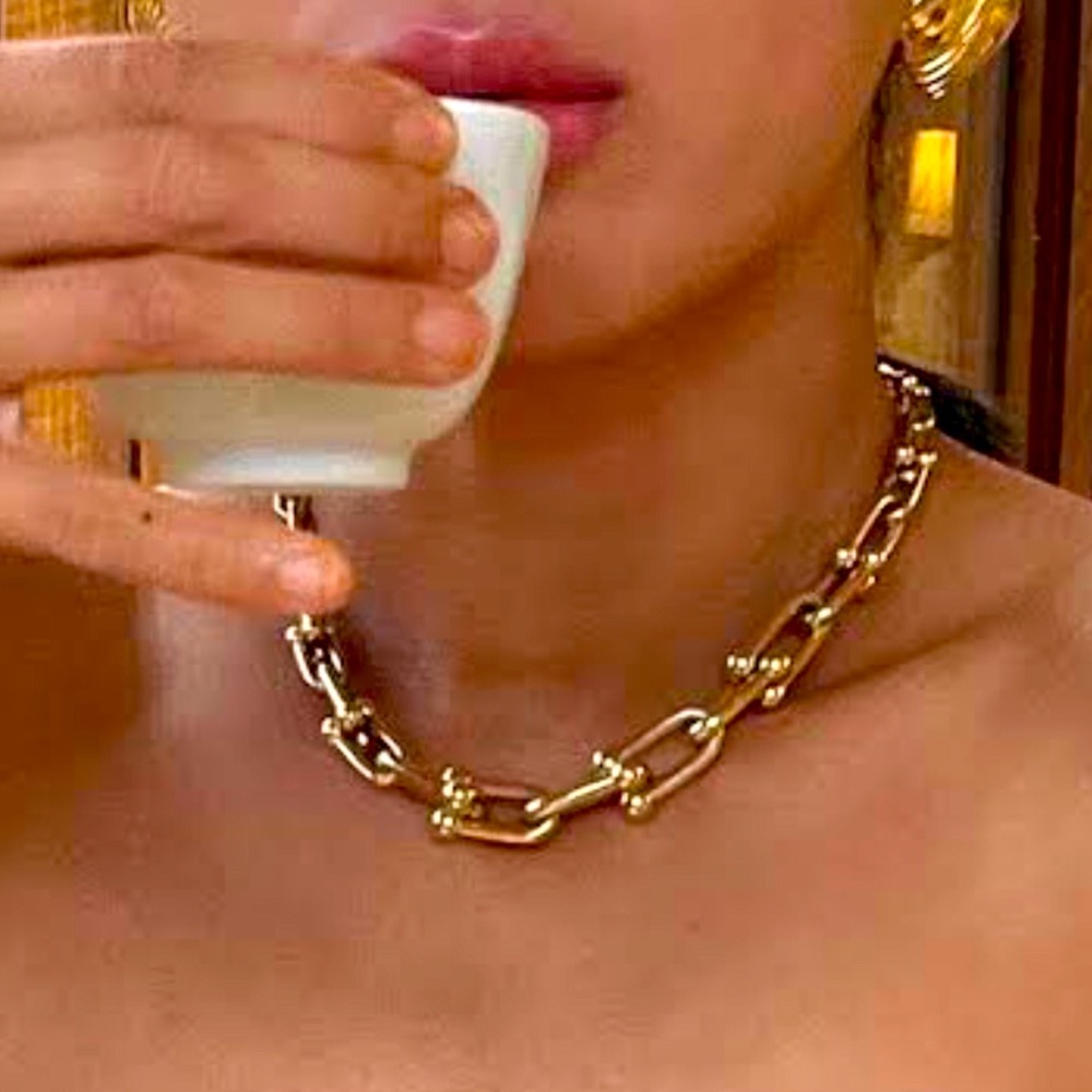 Gold Hardware Graduated Link U Necklace - Picture 3 of 12